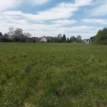 Stadtgruen 2 Berlijn Buitenkant foto