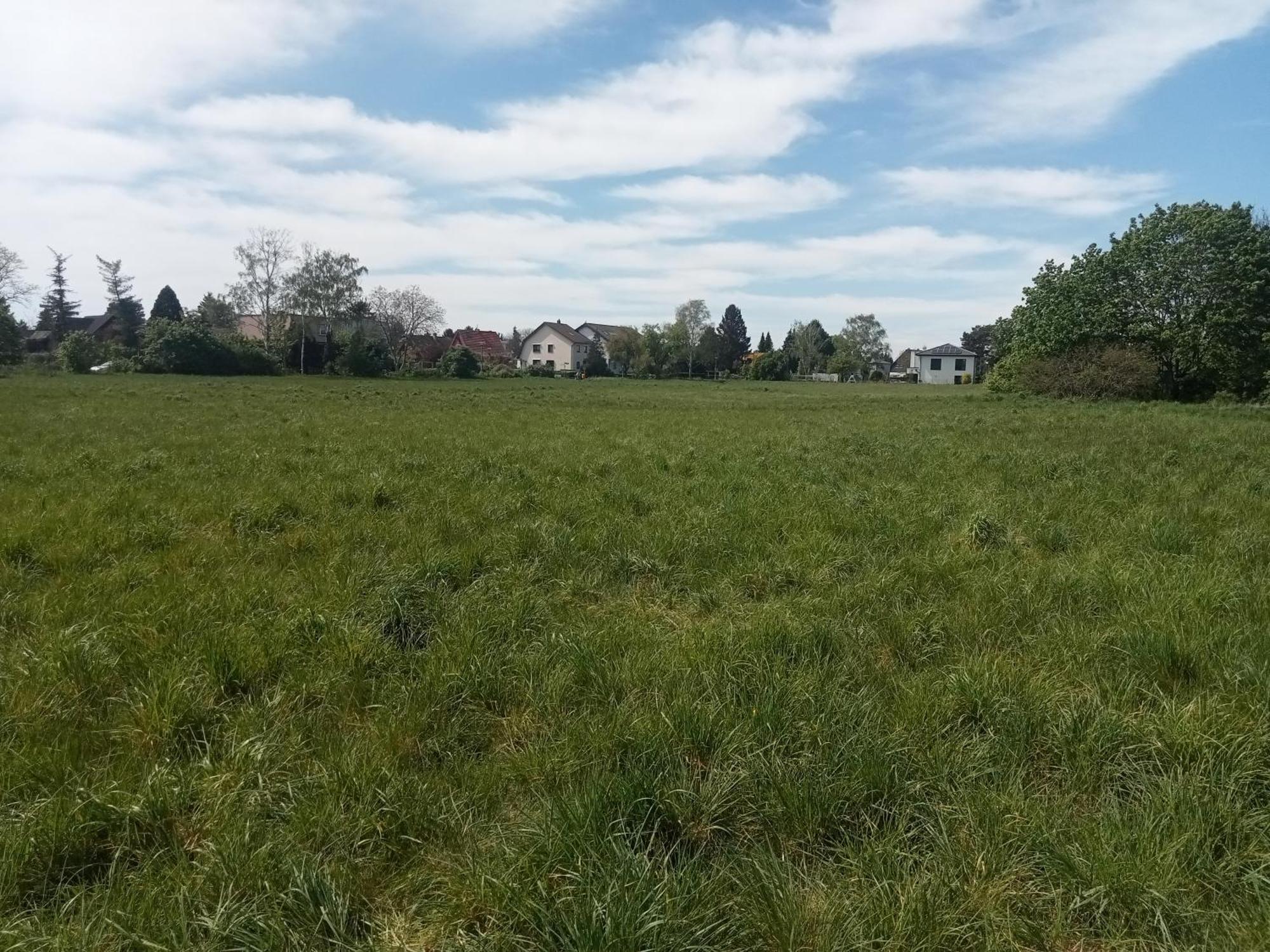 Stadtgruen 2 Berlijn Buitenkant foto